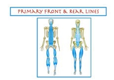 Anatomy Trains Front Line